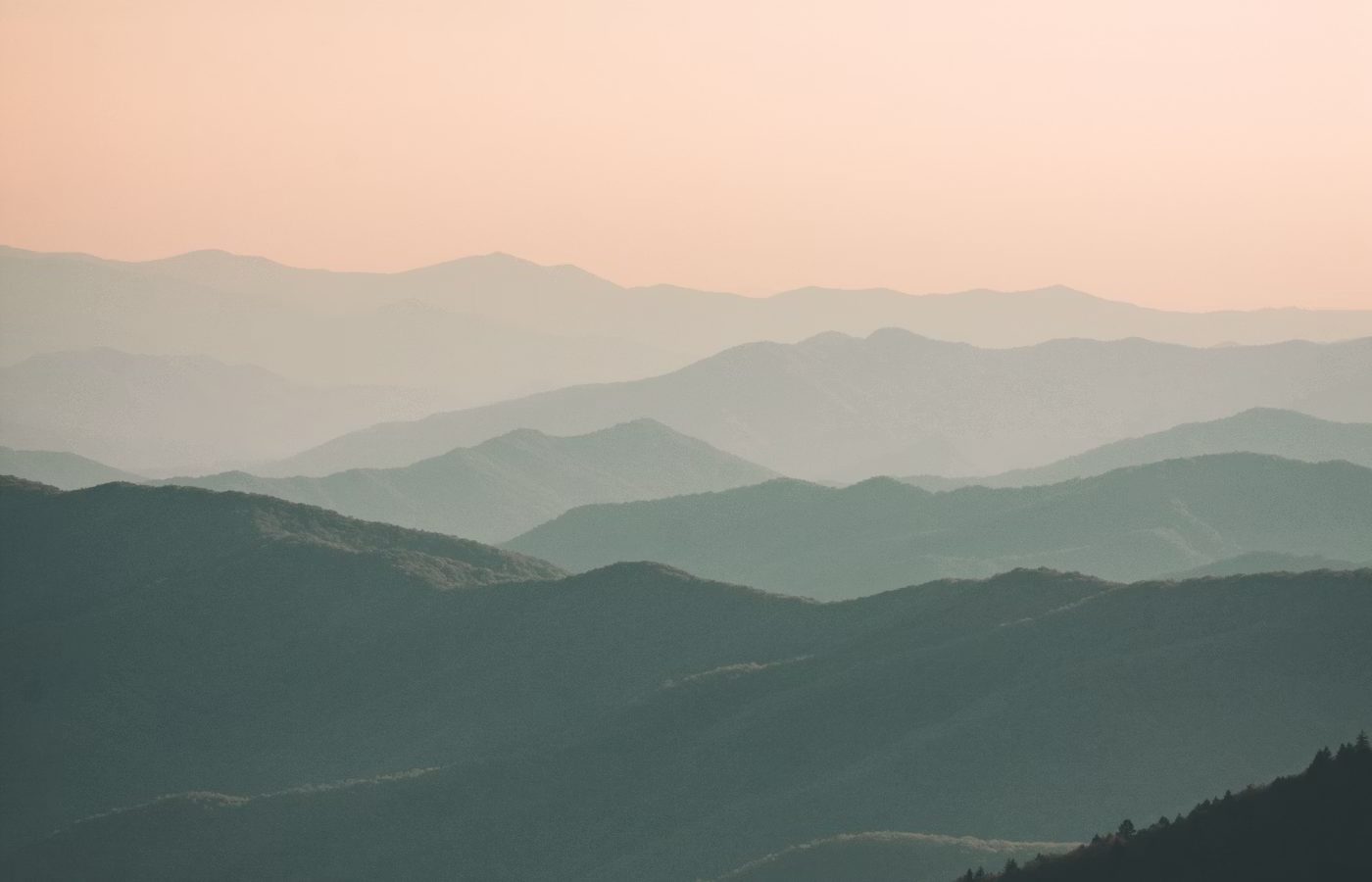 Внутренний голос для предпринимателя